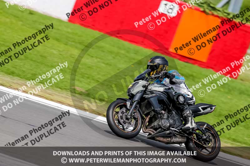 PJ Motorsport 2019;donington no limits trackday;donington park photographs;donington trackday photographs;no limits trackdays;peter wileman photography;trackday digital images;trackday photos